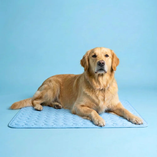 Tapis Rafraîchissant pour Chien 2.0 (1+1)
