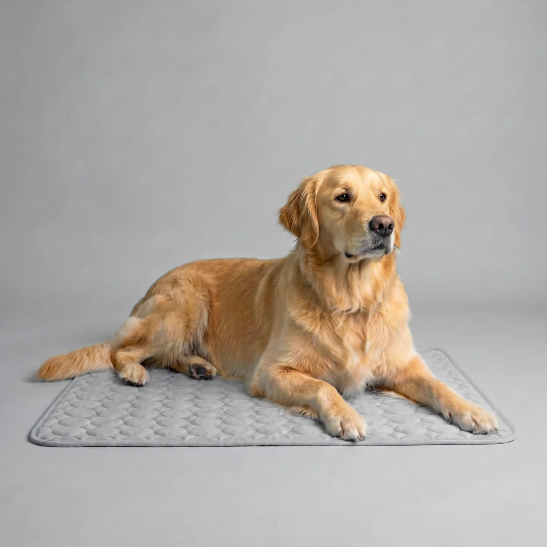 Tapis Rafraîchissant pour Chien 2.0 (1+1)