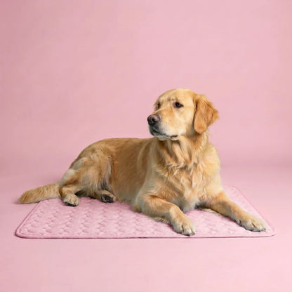 Tapis Rafraîchissant pour Chien 2.0 (1+1)