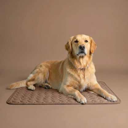 Tapis Rafraîchissant pour Chien 2.0 (1+1)