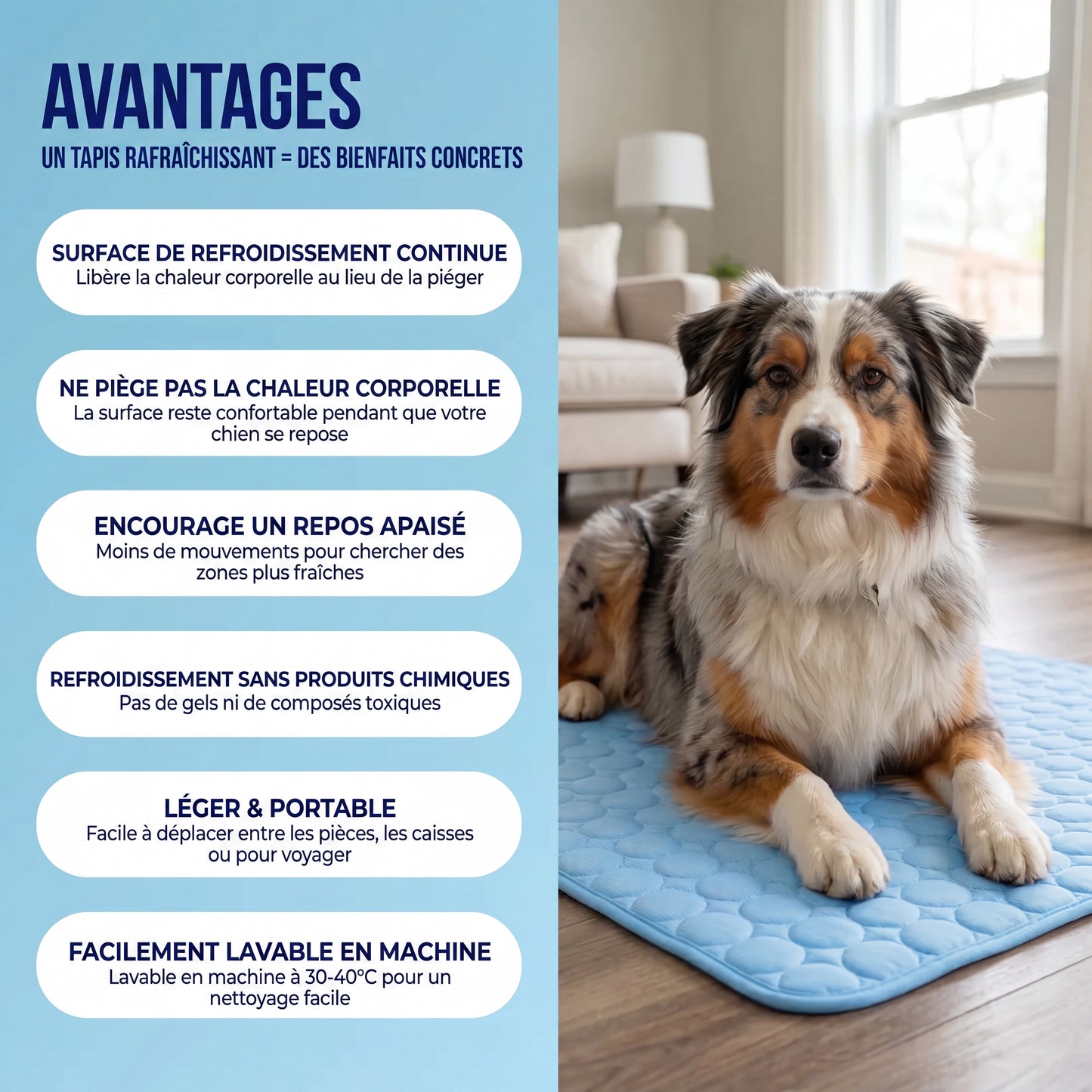 Tapis Rafraîchissant pour Chien 2.0 (1+1)