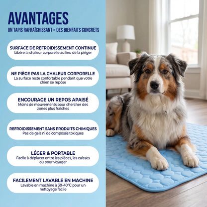 Tapis Rafraîchissant pour Chien 2.0 (1+1)
