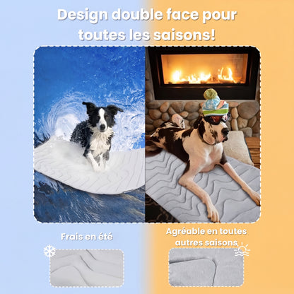 Tapis rafraîchissant pour chiens