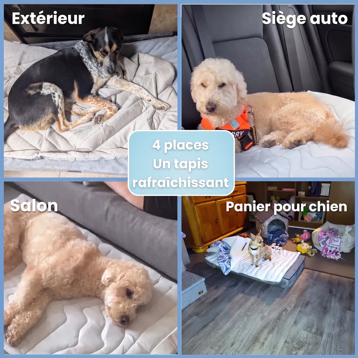 Tapis rafraîchissant pour chiens