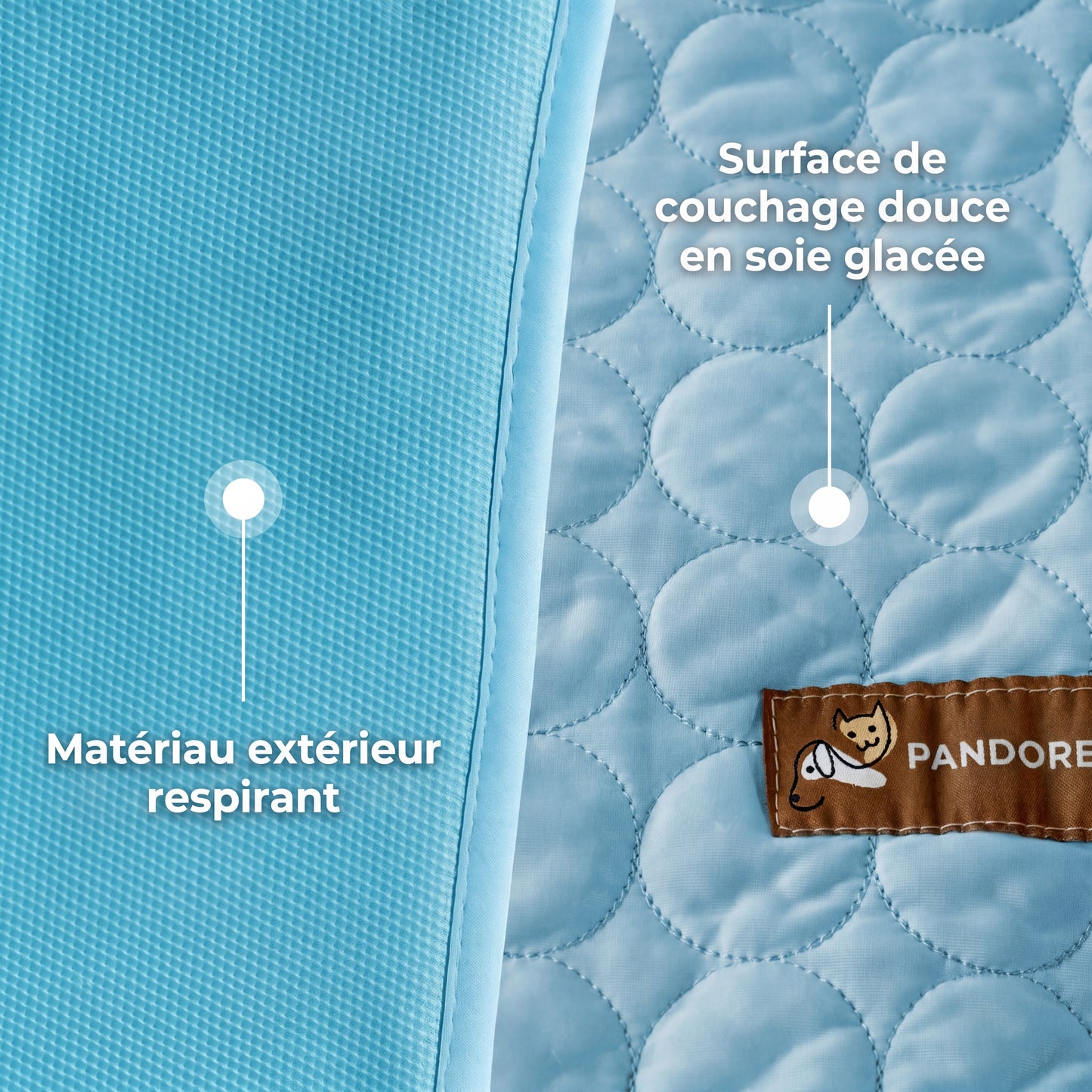 Tapis Rafraîchissant pour Chien 2.0 (1+1)