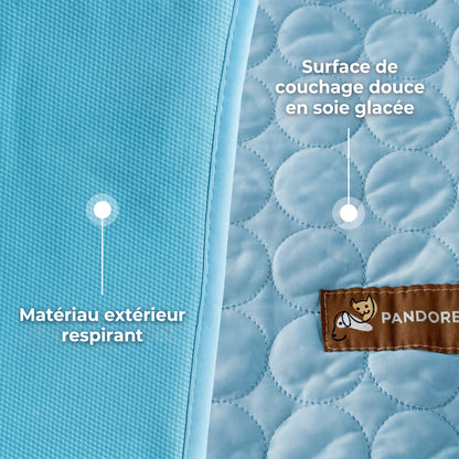 Tapis Rafraîchissant pour Chien 2.0 (1+1)
