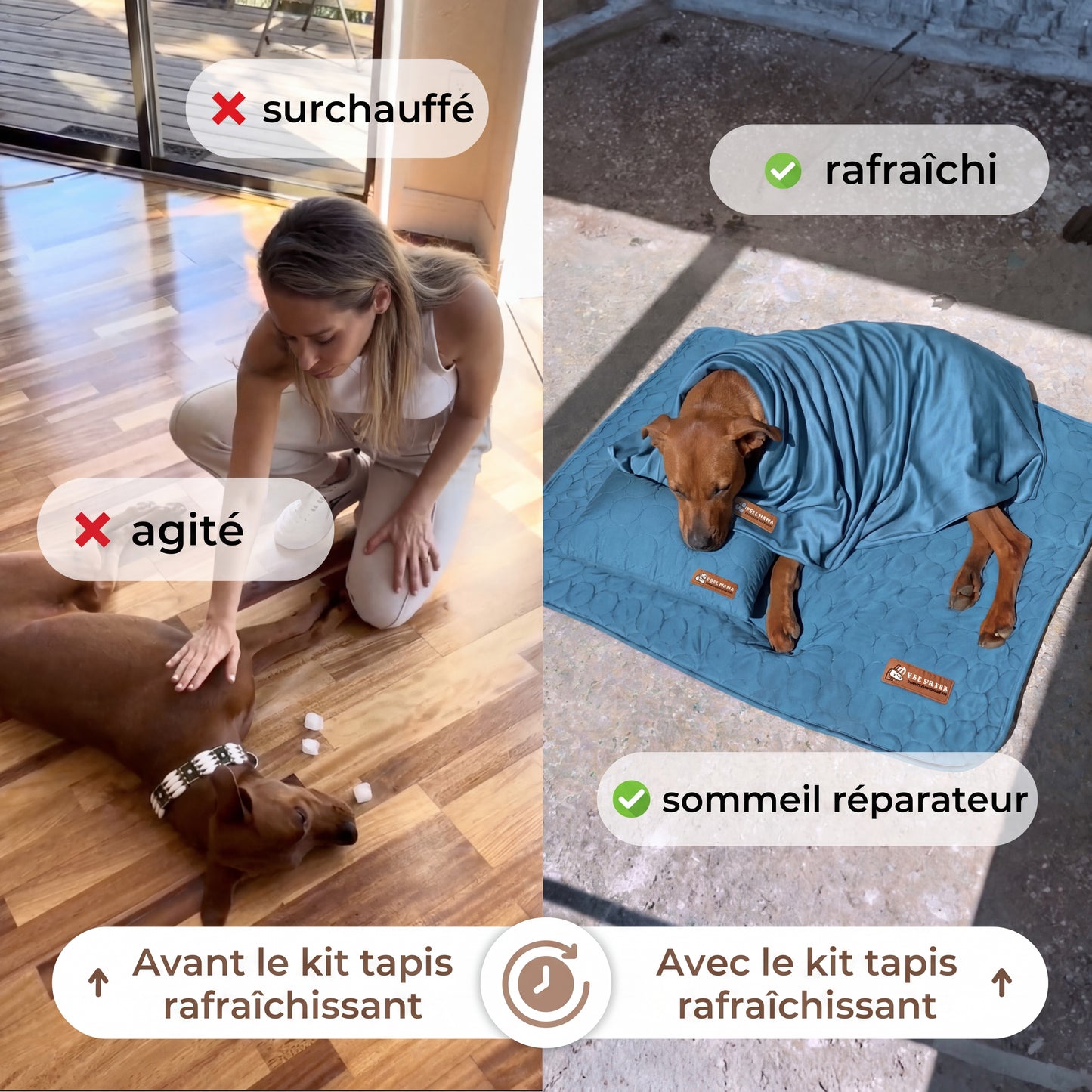 Tapis Rafraîchissant pour Chien 2.0 (1+1)