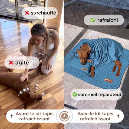 Tapis Rafraîchissant pour Chien 2.0 (1+1)