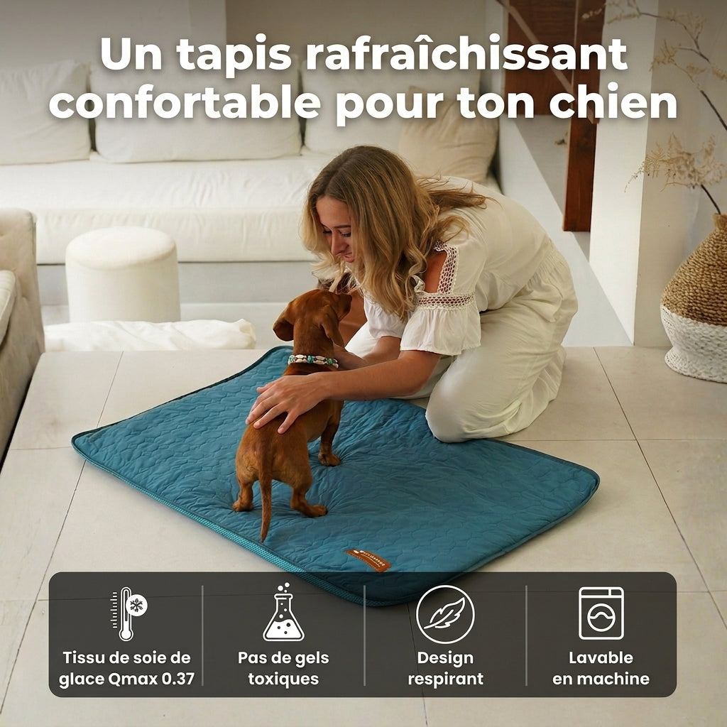 Tapis Rafraîchissant pour Chien 2.0 (1+1)