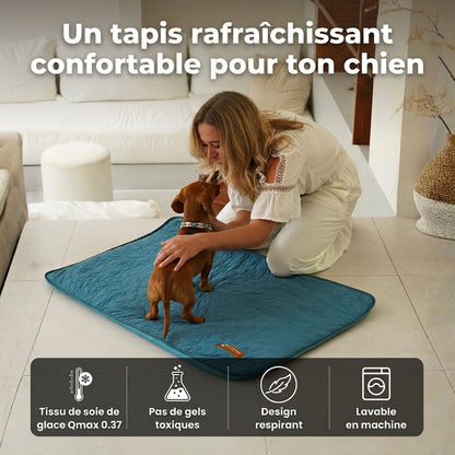 Tapis Rafraîchissant pour Chien 2.0 (1+1)