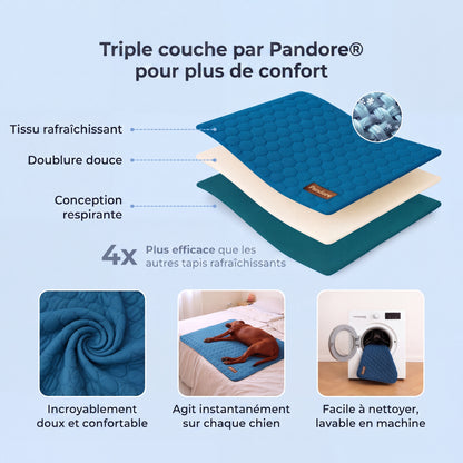Tapis Rafraîchissant pour Chien 2.0 (1+1)
