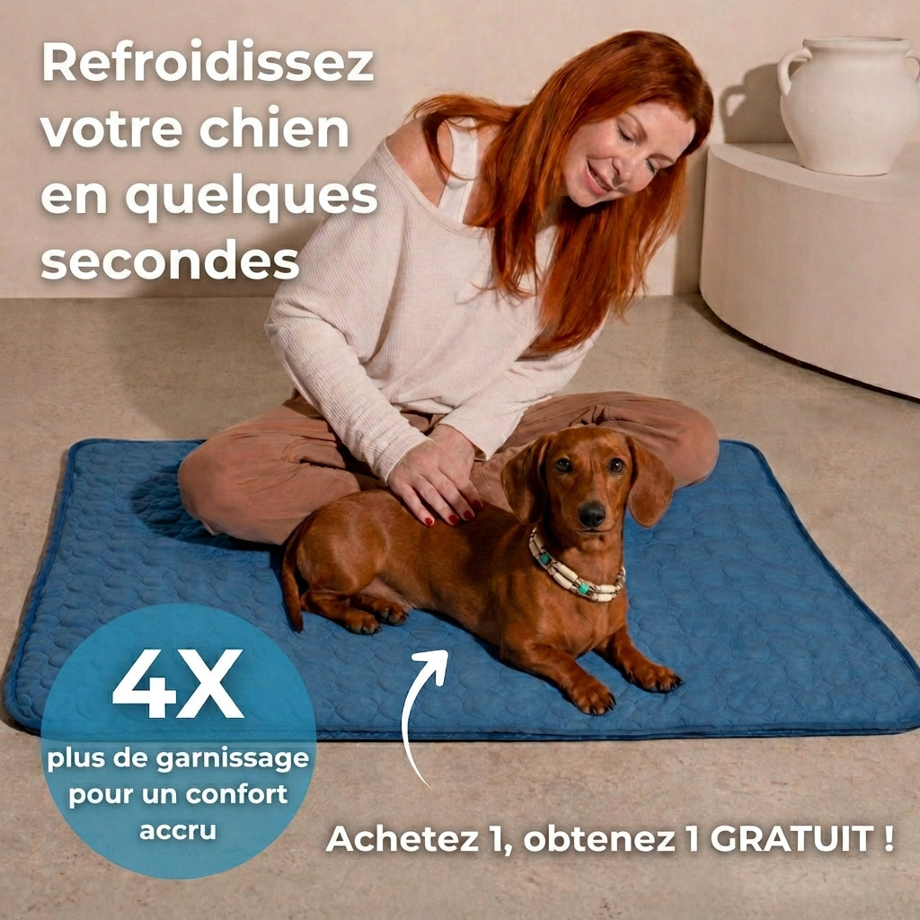 Tapis Rafraîchissant pour Chien 2.0 (1+1)
