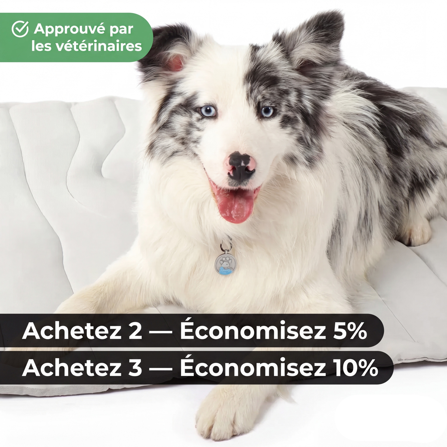 Tapis rafraîchissant pour chiens