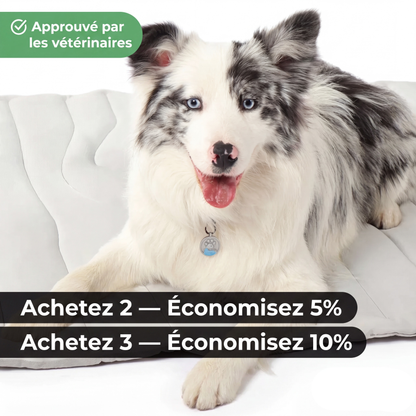 Tapis rafraîchissant pour chiens