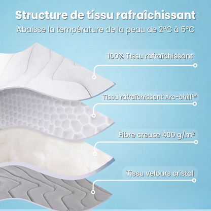 Tapis rafraîchissant pour chiens