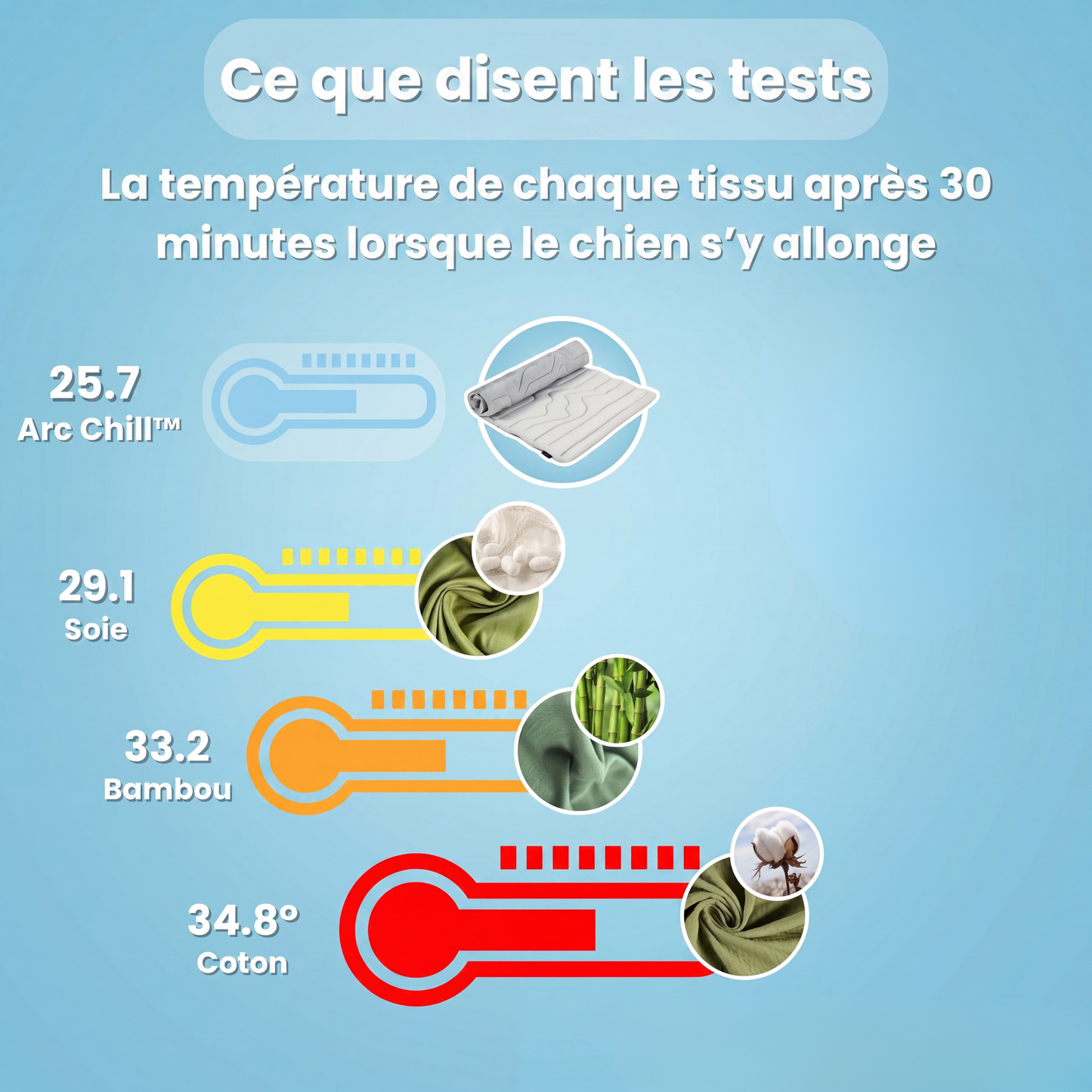 Tapis rafraîchissant pour chiens