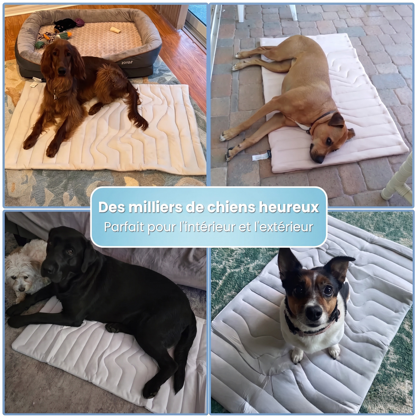 Tapis rafraîchissant pour chiens