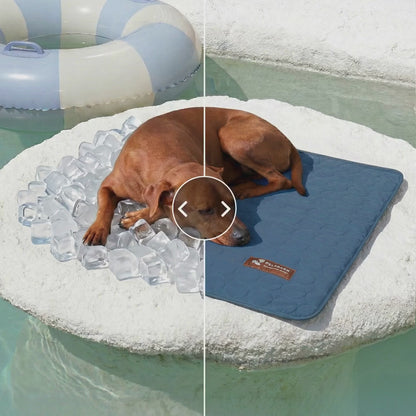 Tapis Rafraîchissant pour Chien 2.0 (1+1)