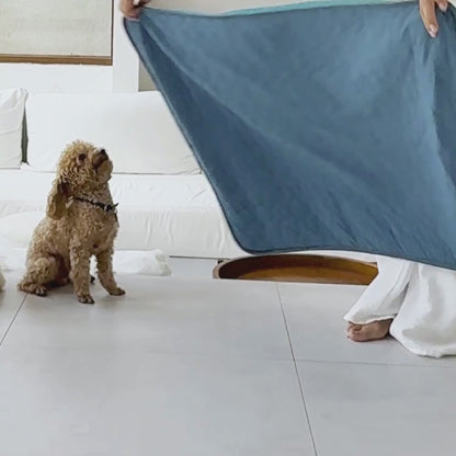 Tapis Rafraîchissant pour Chien 2.0 (1+1)